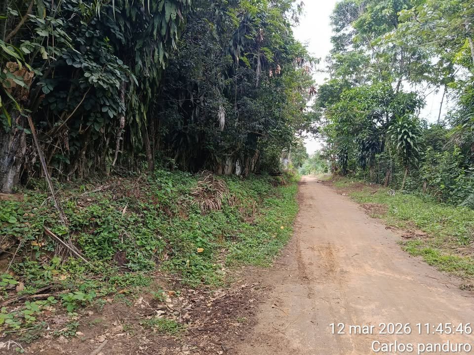 Terreno en La Banda de Shilcayo, San Martín — foto 2