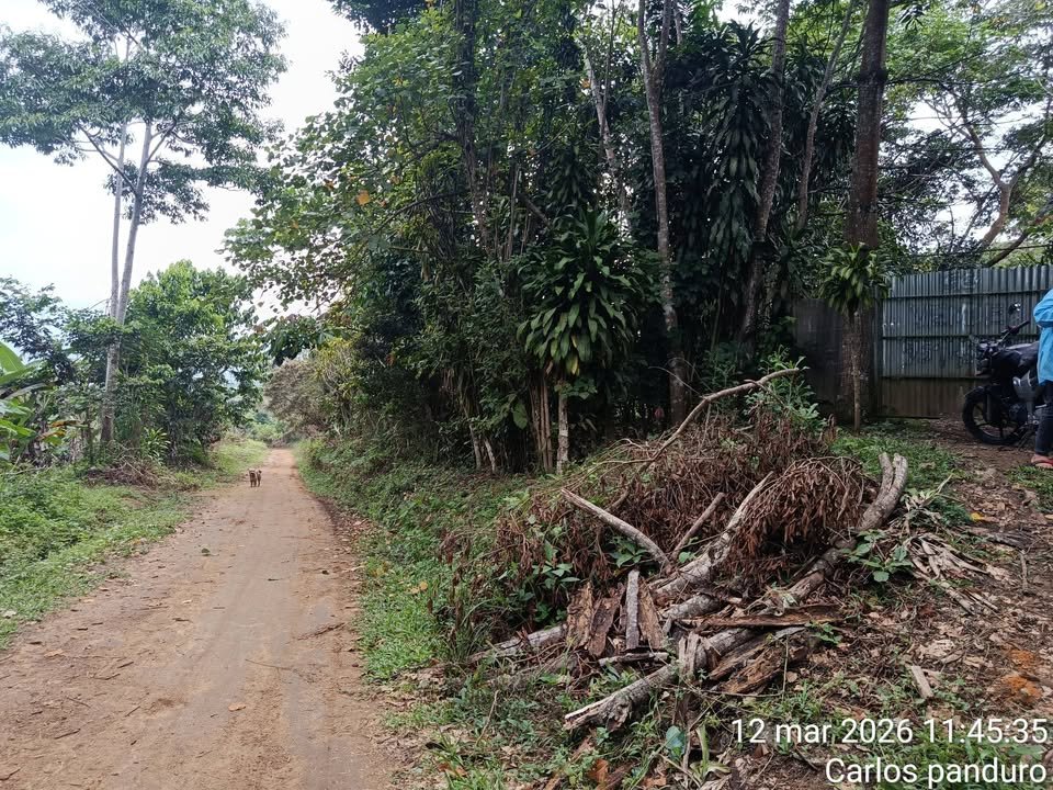 Terreno en La Banda de Shilcayo, San Martín — foto 3