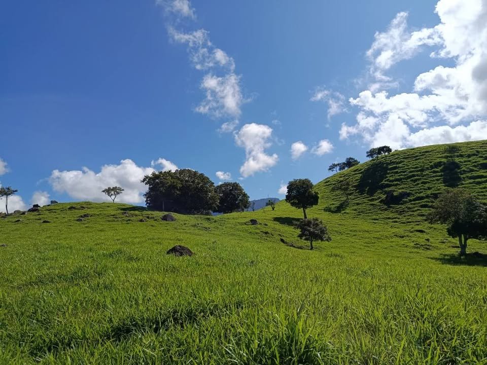 Terreno en Tarapoto, San Martín — foto 2