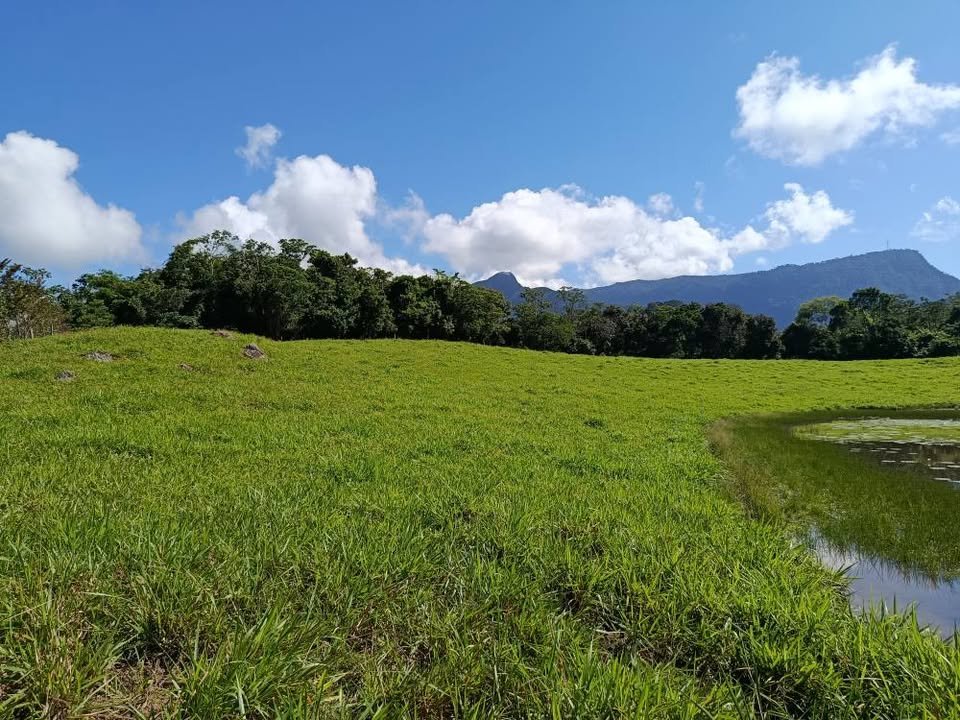 Terreno en Tarapoto, San Martín — foto 3