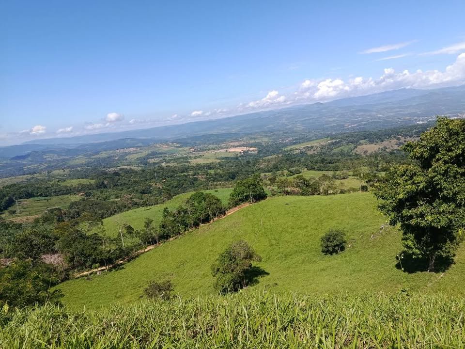 Terreno en Tarapoto, San Martín — foto 6