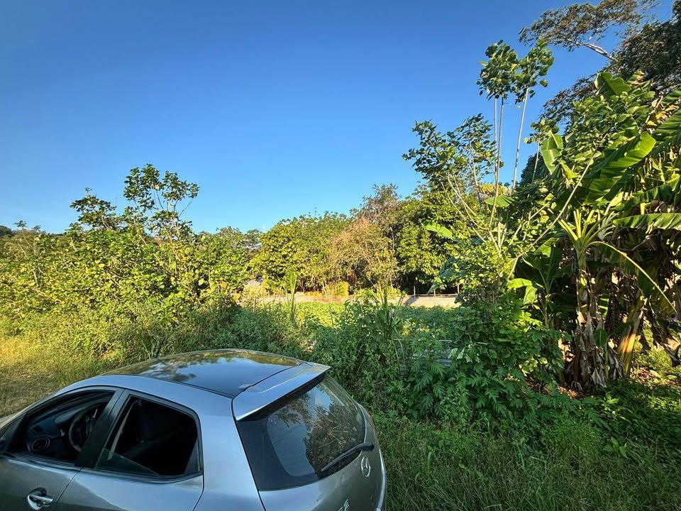 Lote en Tarapoto, San Martín — foto 3