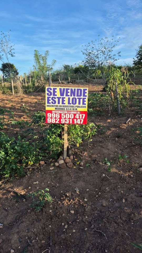 Lote en Tarapoto, San Martín — foto 4