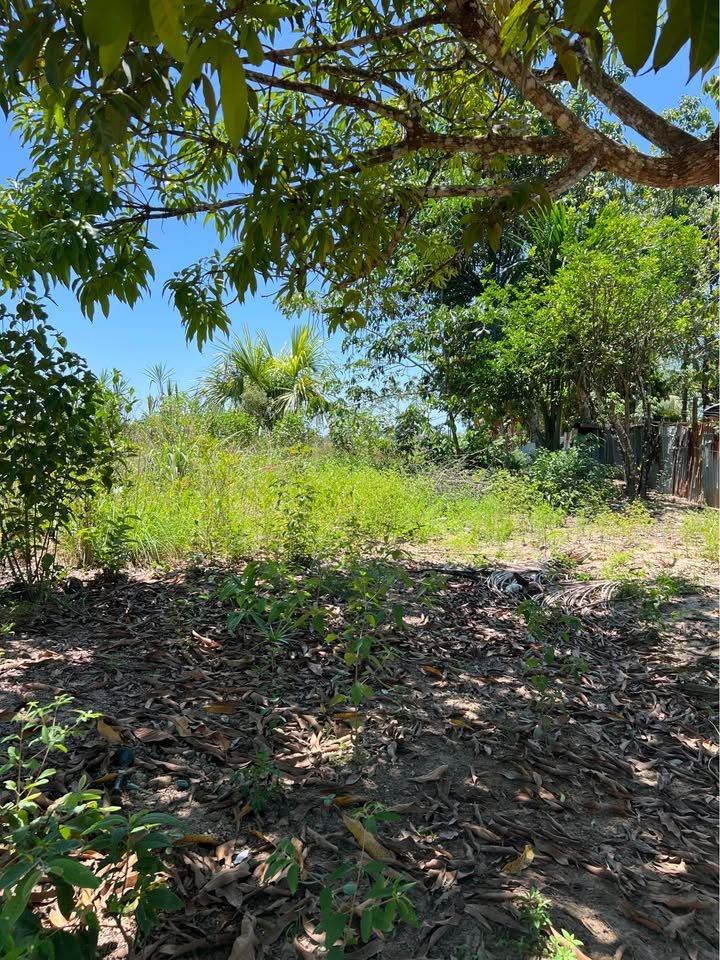 Lote en Yurimaguas, Loreto — foto 2