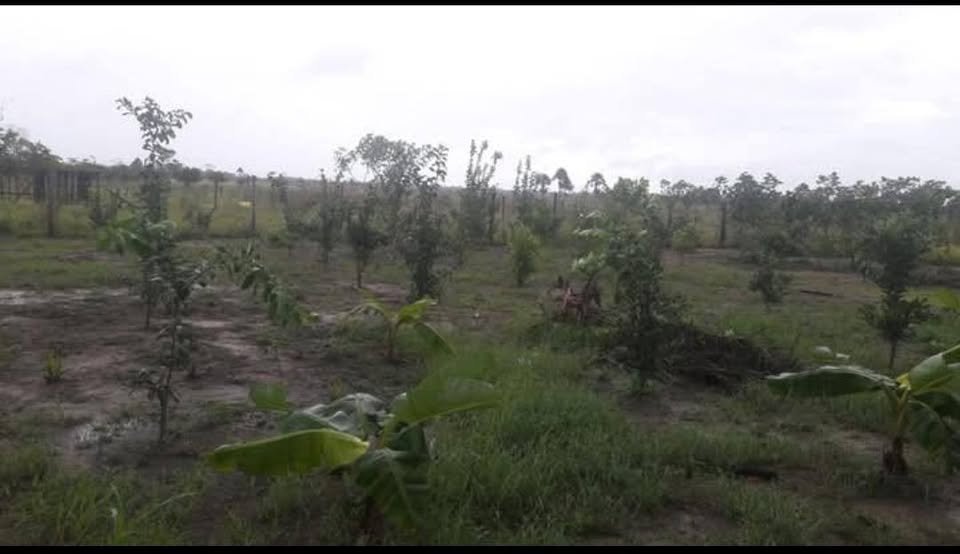 Quinta / casa de campo en Campoverde, Ucayali — foto 3