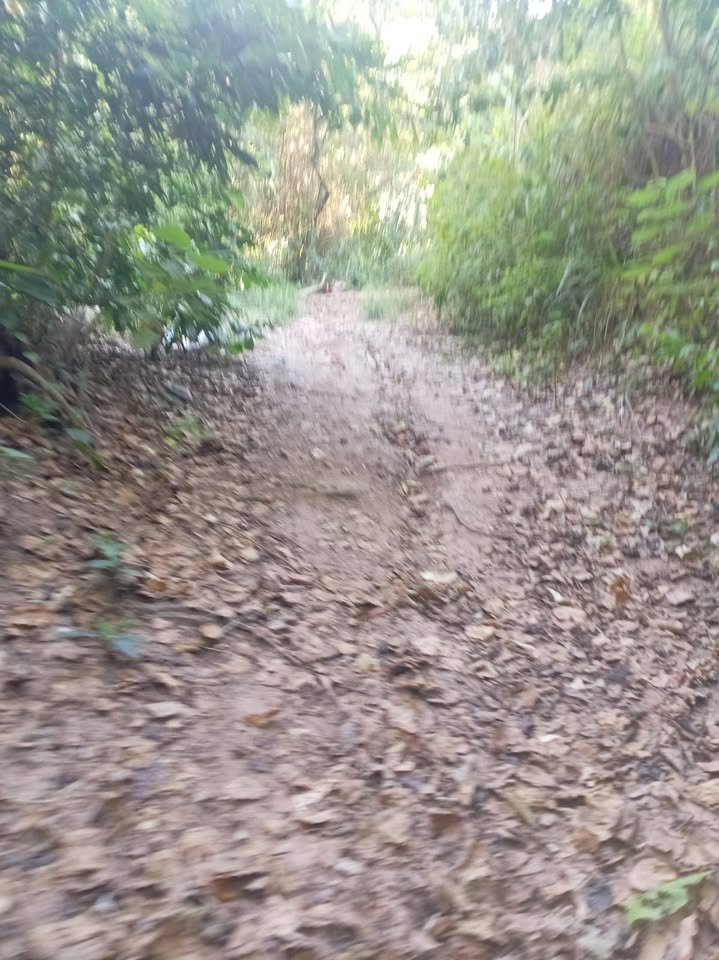 Chacra en Juan Guerra, San Martín — foto 2