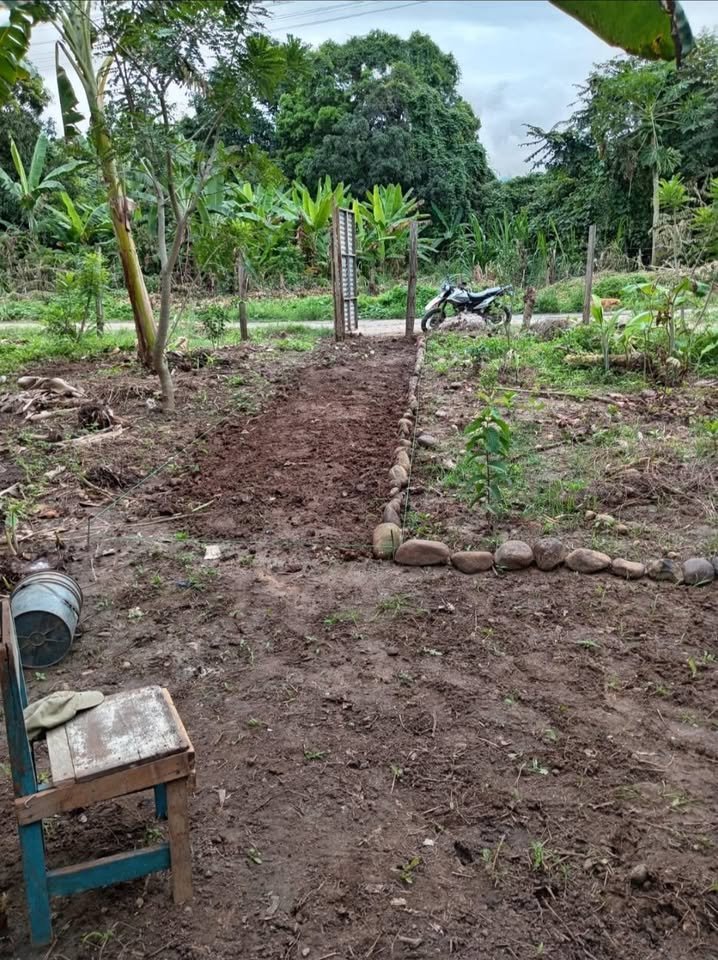 Lote en Tarapoto, San Martín — foto 5