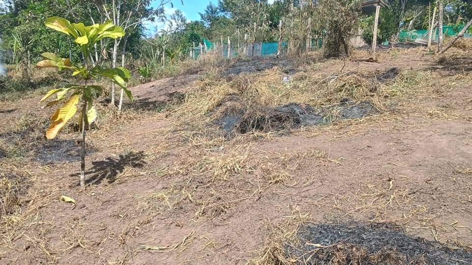Lote en Moyobamba, San Martín — foto 5
