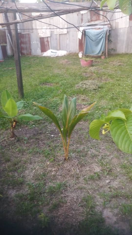 Lote en Iquitos, Loreto — foto 2