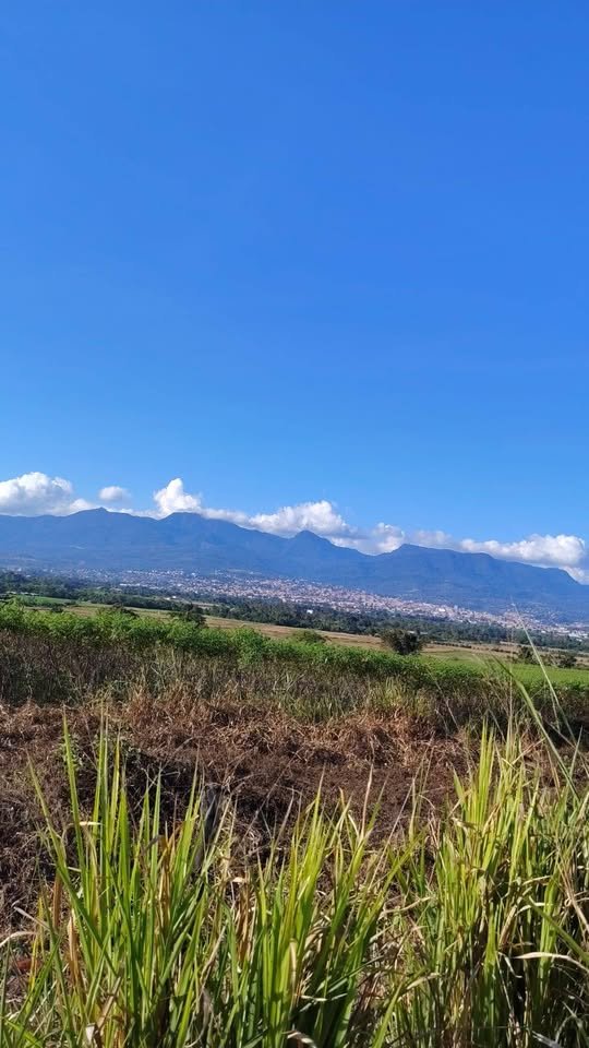 Lote en Tarapoto, San Martín — foto 2