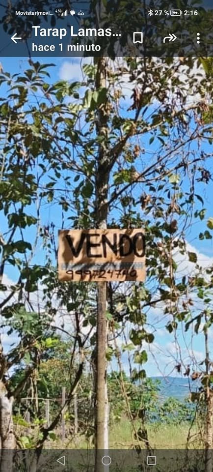 Lote en Lamas, San Martín — foto 2