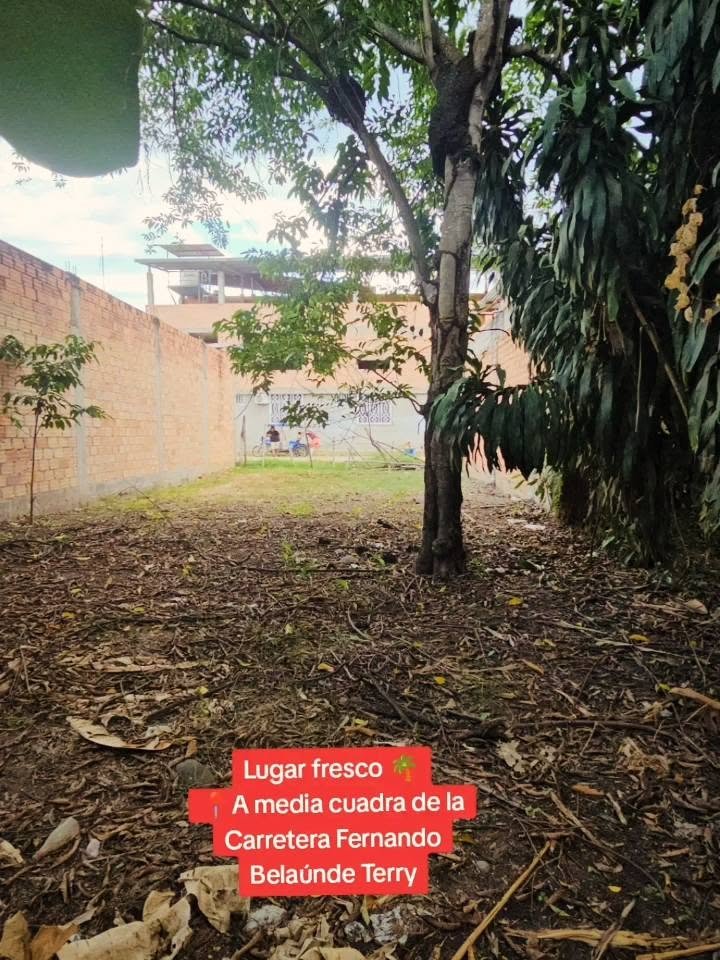 Lote en Tarapoto, San Martín — foto 4