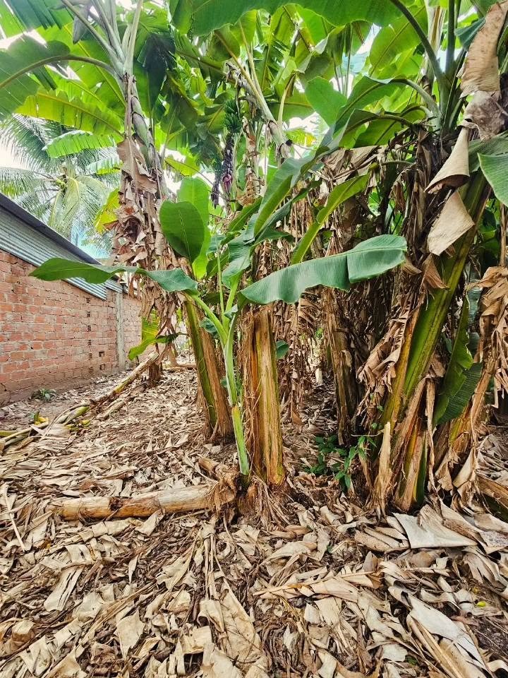 Lote en Tarapoto, San Martín — foto 6
