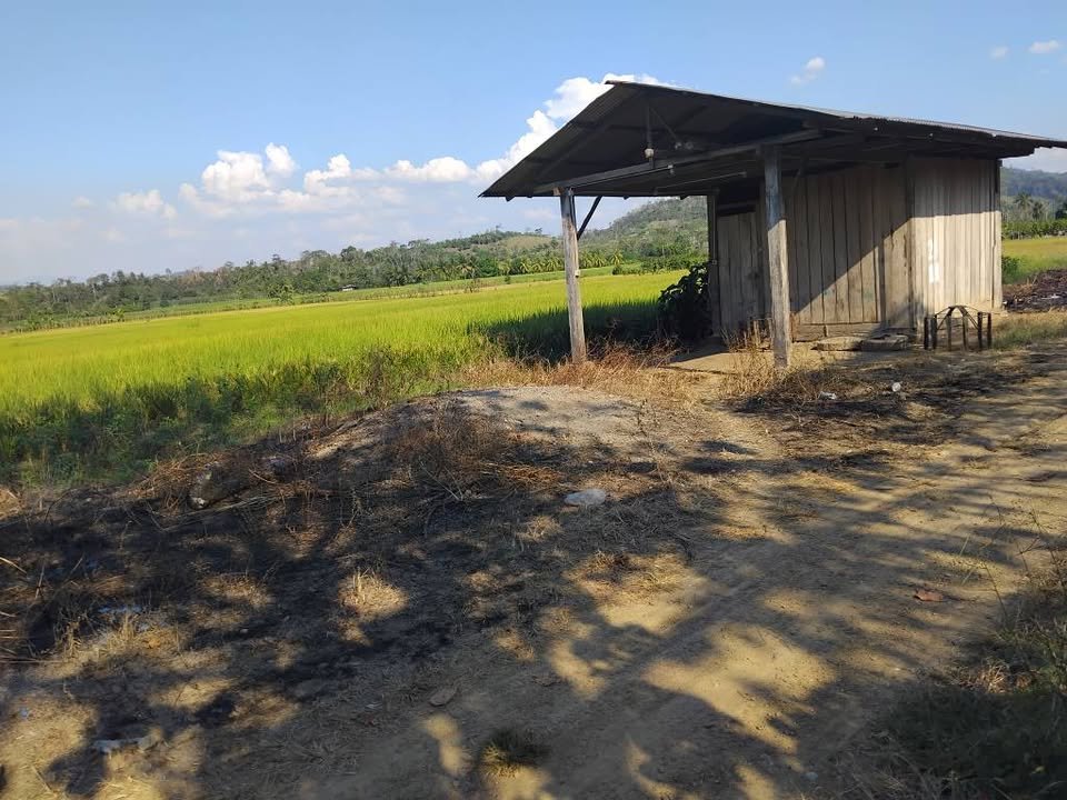 Terreno en Juanjuí, San Martín — foto 3
