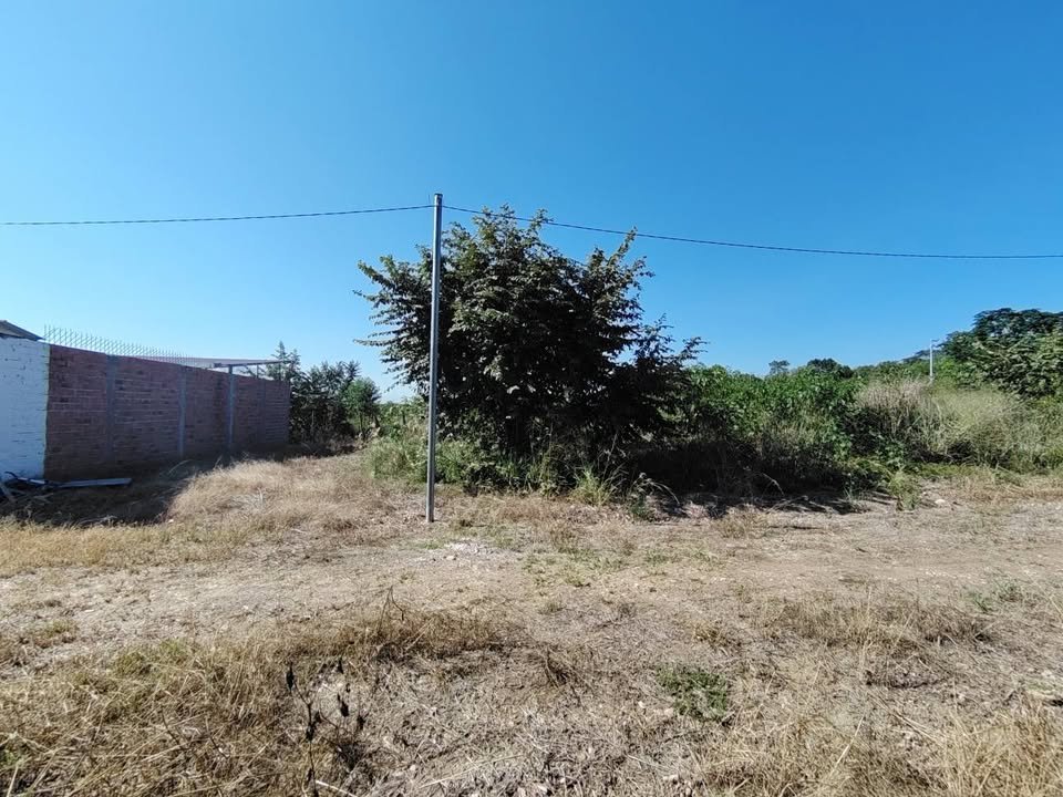 Lote en Tarapoto, San Martín — foto 5