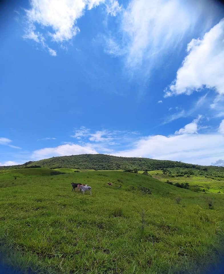 Terreno en Morales, San Martín — foto 2