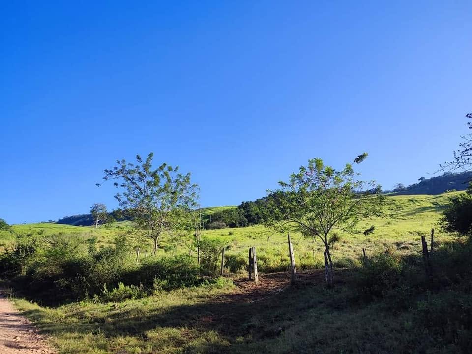 Terreno en Morales, San Martín — foto 3