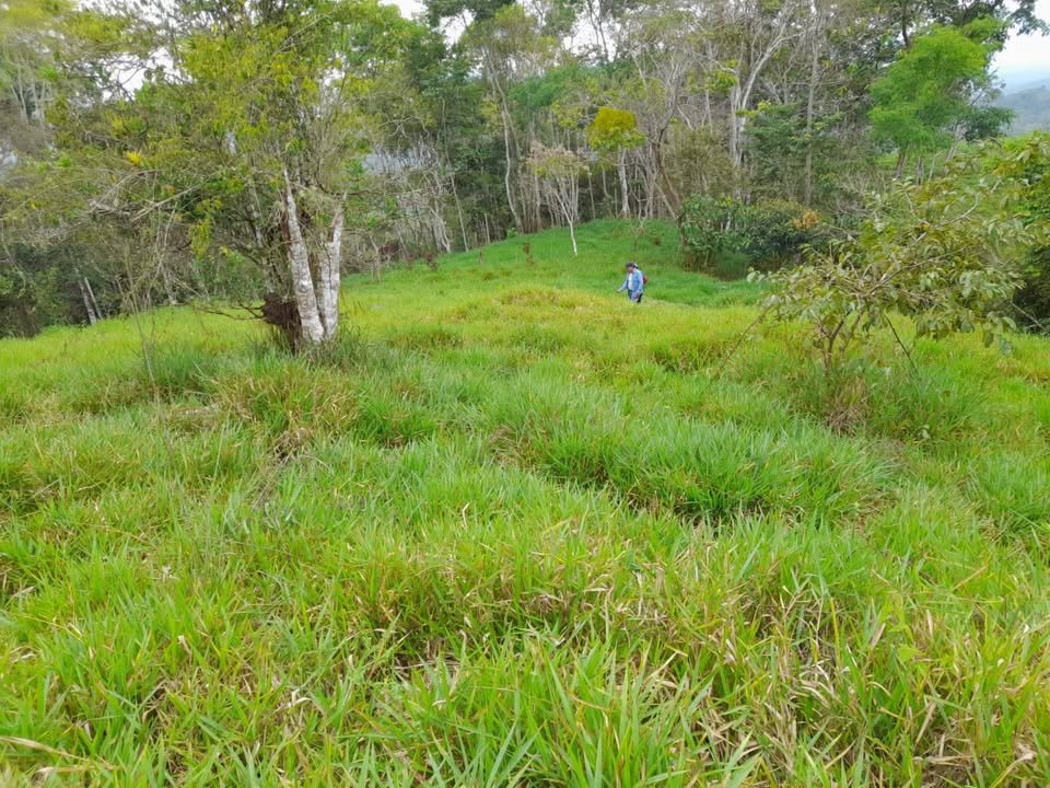 Finca / fundo en Moyobamba, San Martín — foto 3