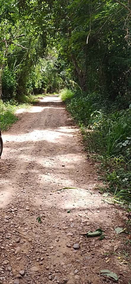 Terreno en Lamas, San Martín — foto 2
