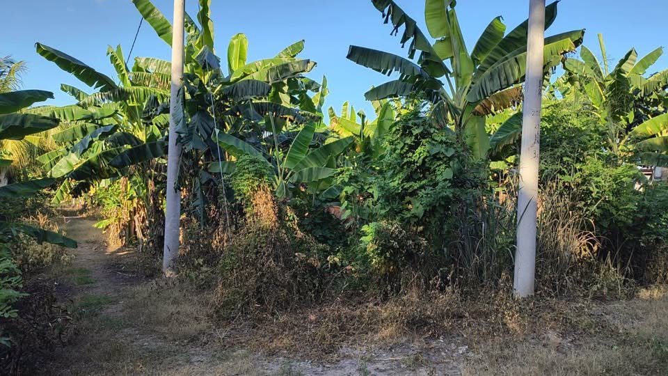 Lote en Tarapoto, San Martín — foto 2