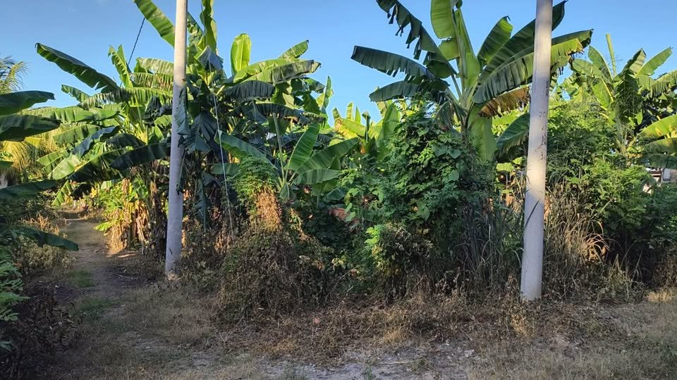Lote en Tarapoto, San Martín — foto 4