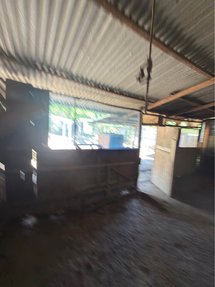 Lote en Yarinacocha, Ucayali — foto 4