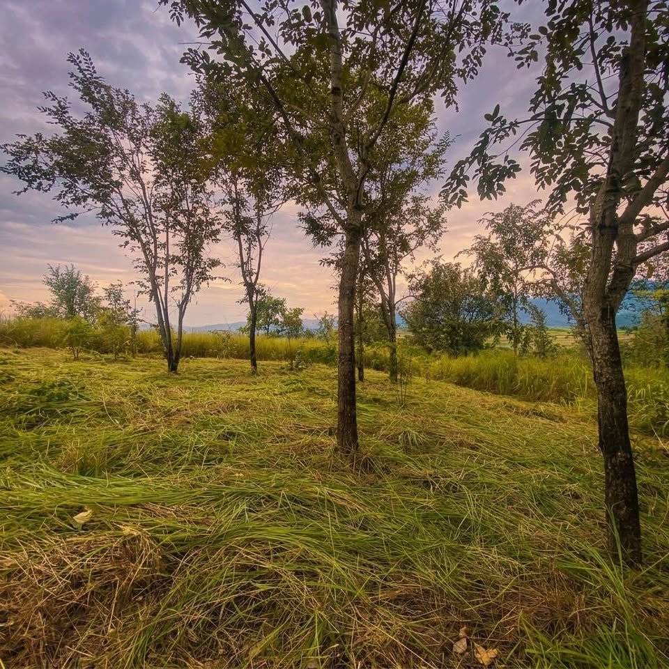 Lote en La Banda de Shilcayo, San Martín — foto 4
