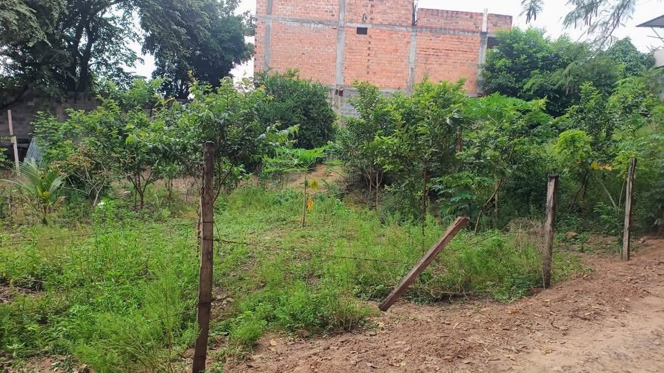 Terreno en Tarapoto, San Martín — foto 2